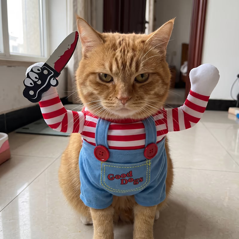 Orange cat showing the costume's adjustable fit
